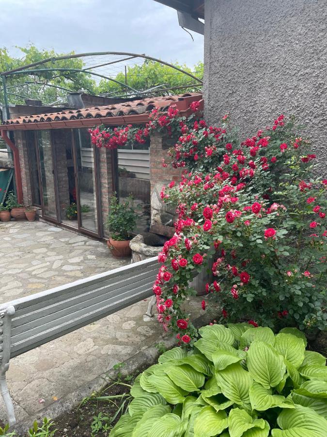 Milorava'S Guest House & Wine Cellar テラヴィ エクステリア 写真