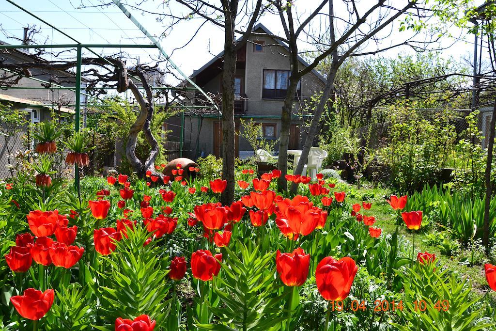 Milorava'S Guest House & Wine Cellar テラヴィ エクステリア 写真